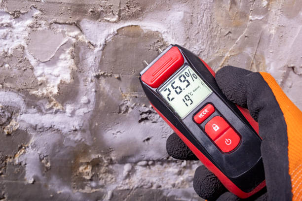 Best Toxic Mold Removal  in Shoemakersville, PA