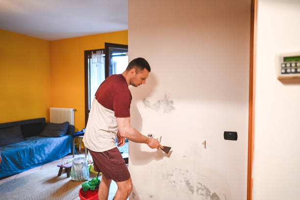 Best Mold Cleaning Services  in Shoemakersville, PA