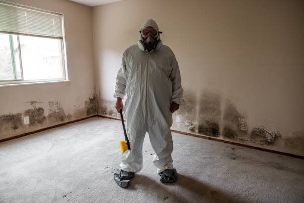 Best Mold Remediation Services  in Shoemakersville, PA